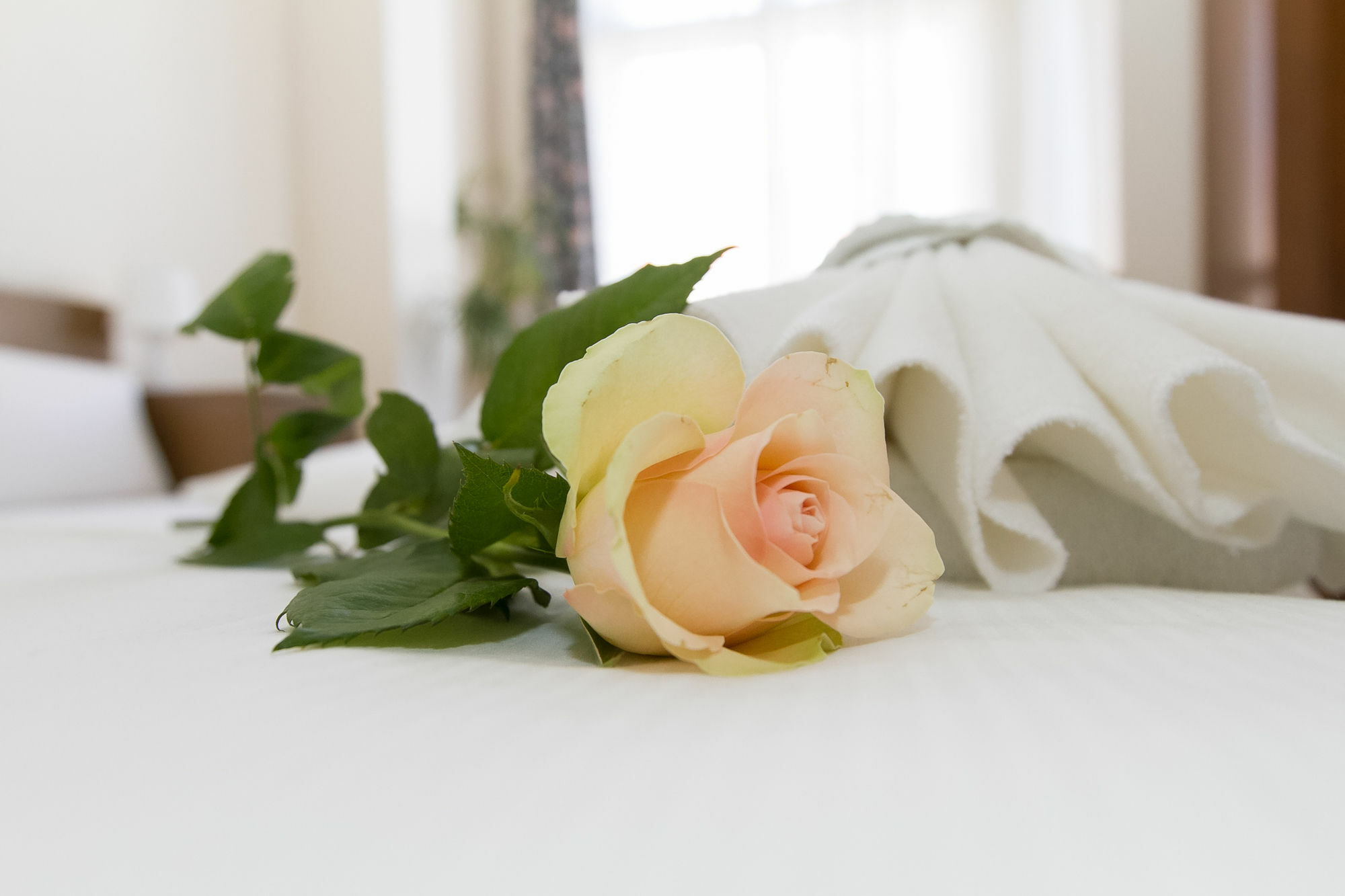 Hotel Spreewitz Am Kurfuerstendamm Berlin Ngoại thất bức ảnh